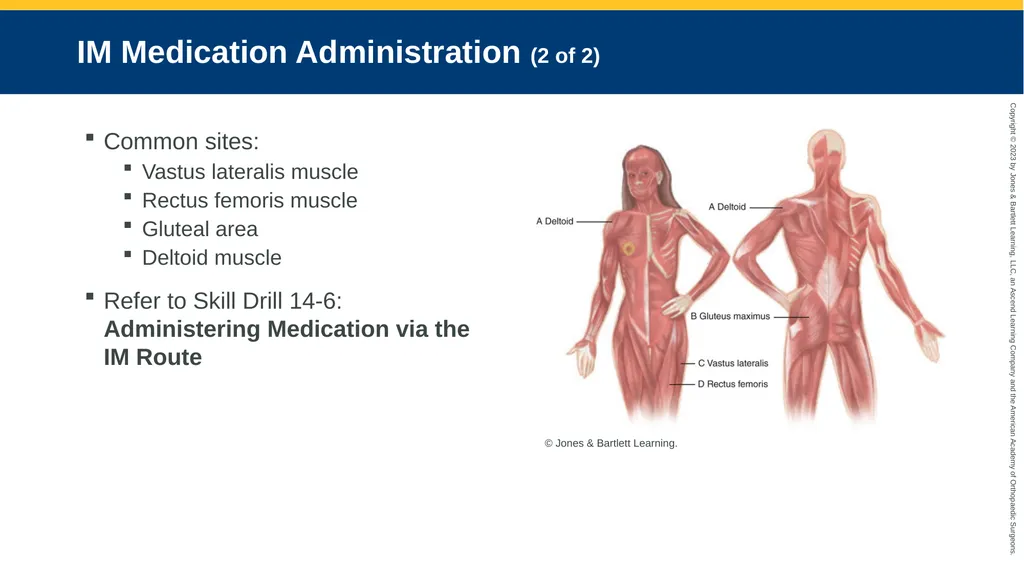 Medication Administration CHAPTER 14 Introduction - slide 151 of 185