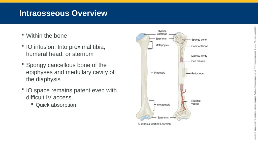 Medication Administration CHAPTER 14 Introduction - slide 95 of 185