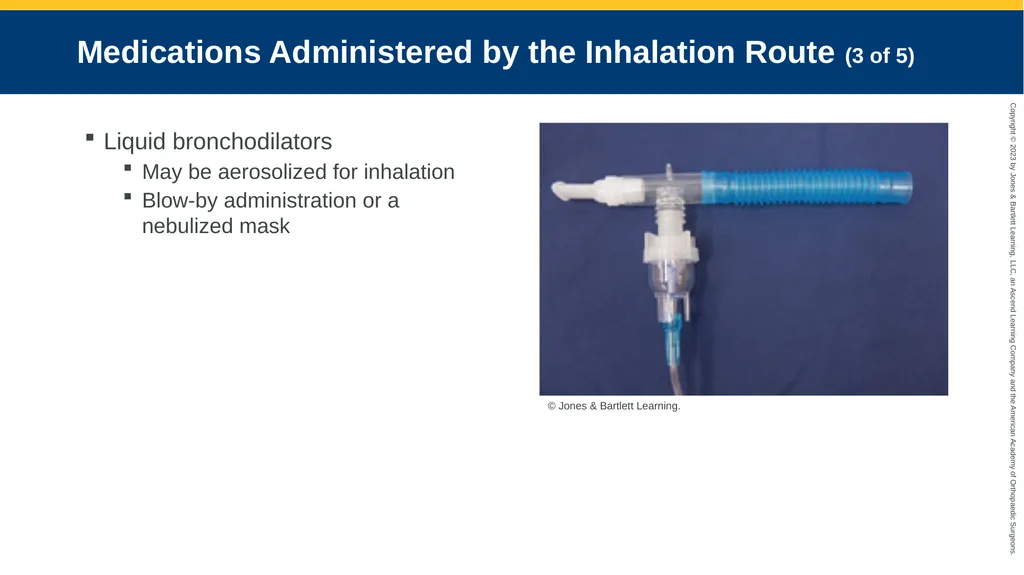 Medication Administration CHAPTER 14 Introduction - slide 172 of 185