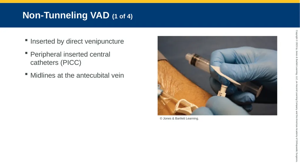 Medication Administration CHAPTER 14 Introduction - slide 177 of 185