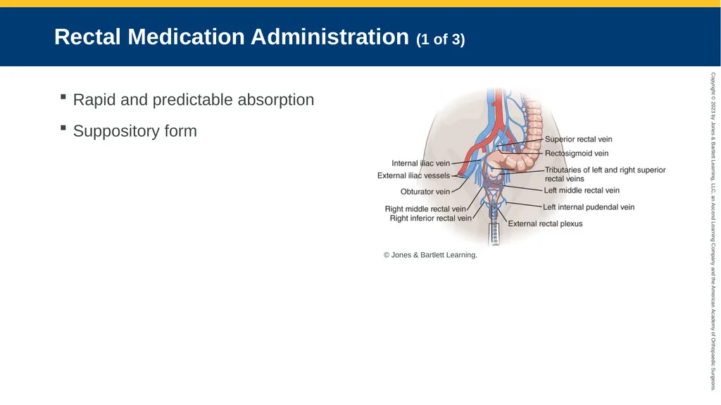 Medication Administration CHAPTER 14 Introduction - slide 131 of 185