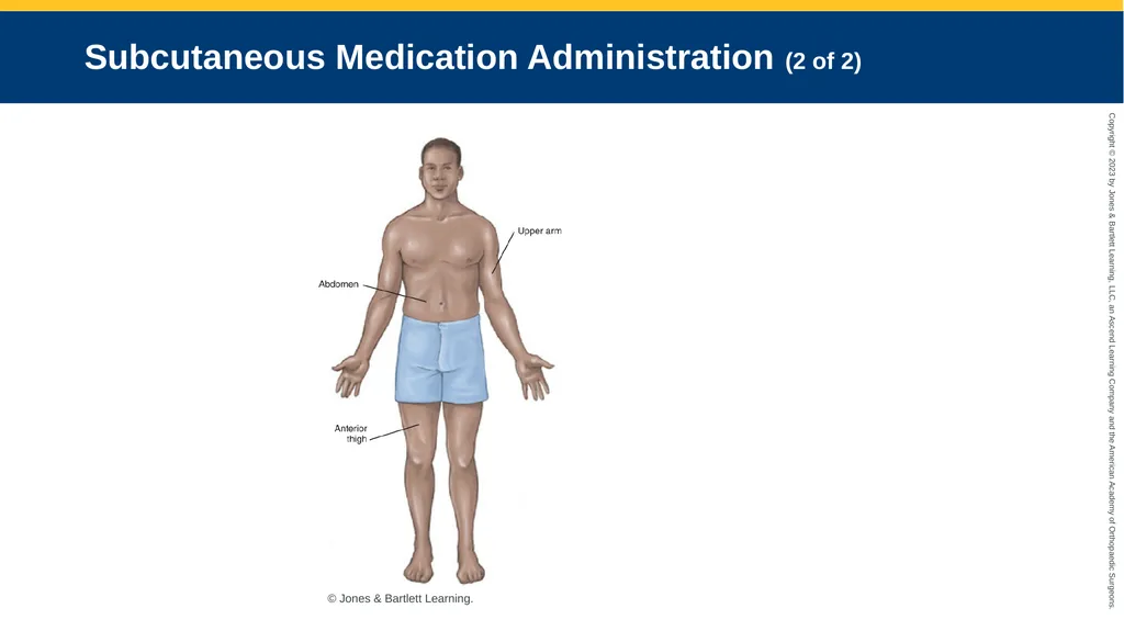 Medication Administration CHAPTER 14 Introduction - slide 149 of 185