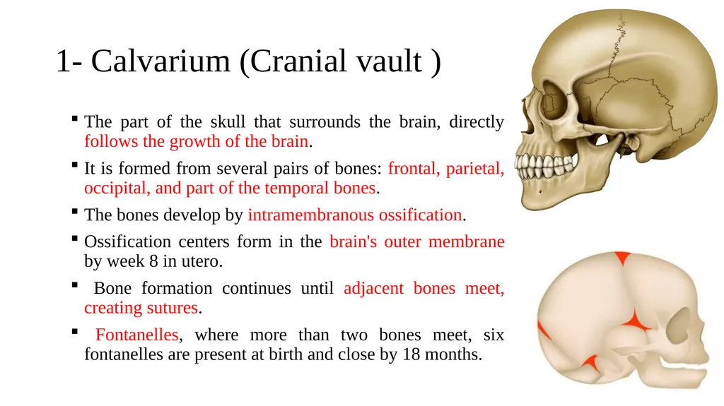 Growth and Development Post-natal Isra Dilshad - slide 12 of 46