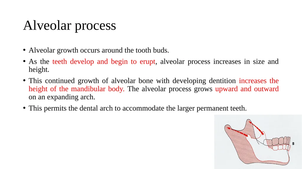 Growth and Development Post-natal Isra Dilshad - slide 43 of 46