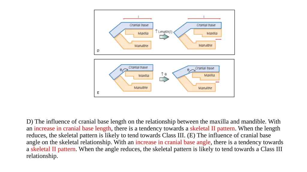Growth and Development Post-natal Isra Dilshad - slide 21 of 46