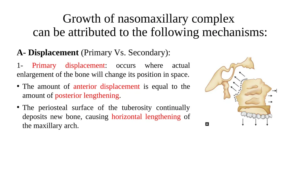 Growth and Development Post-natal Isra Dilshad - slide 24 of 46