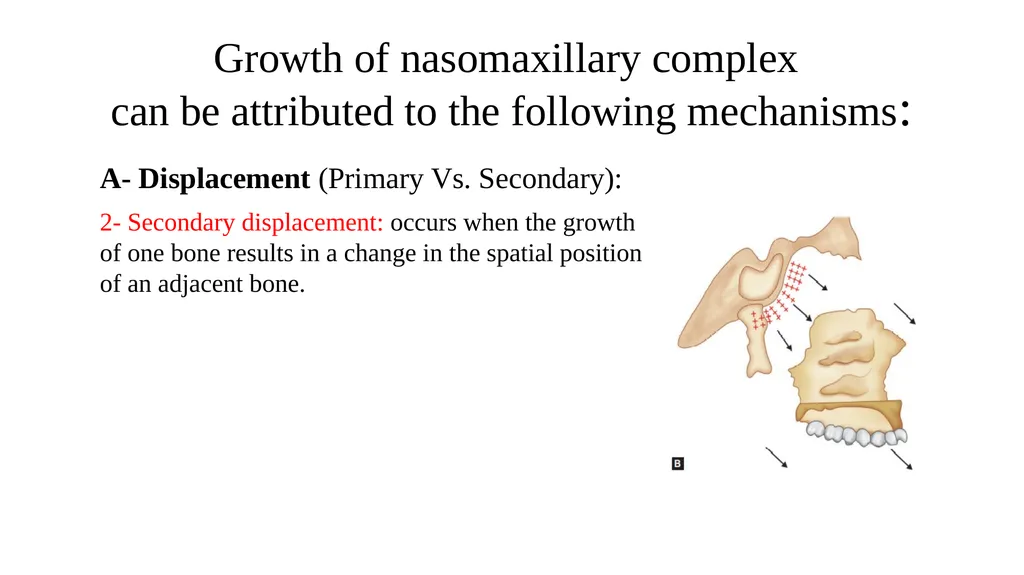 Growth and Development Post-natal Isra Dilshad - slide 25 of 46