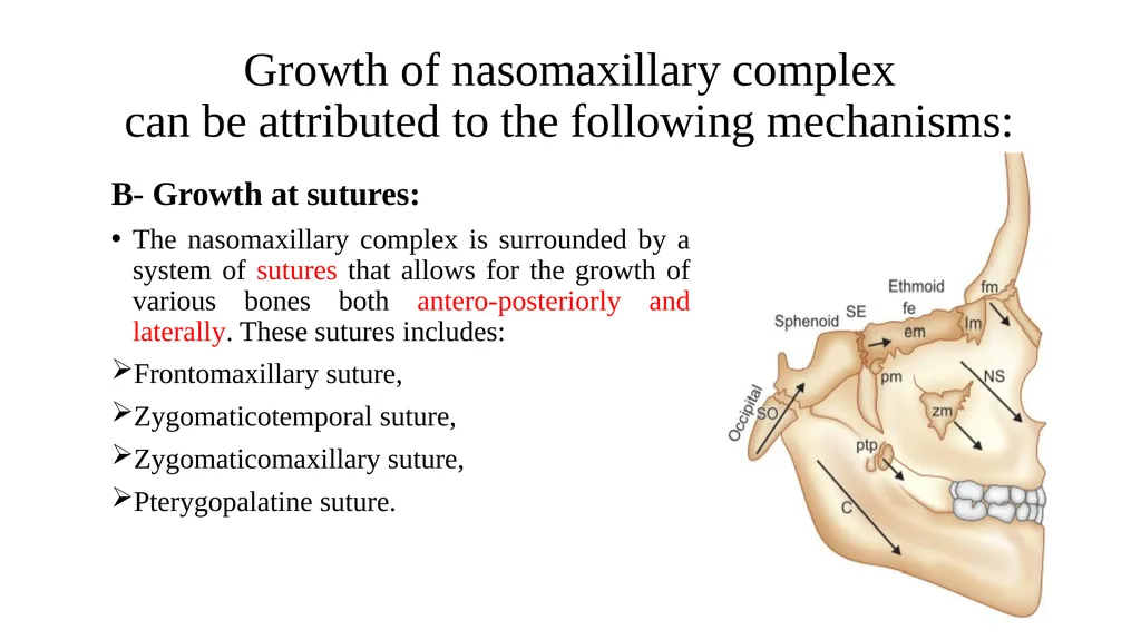 Growth and Development Post-natal Isra Dilshad - slide 26 of 46