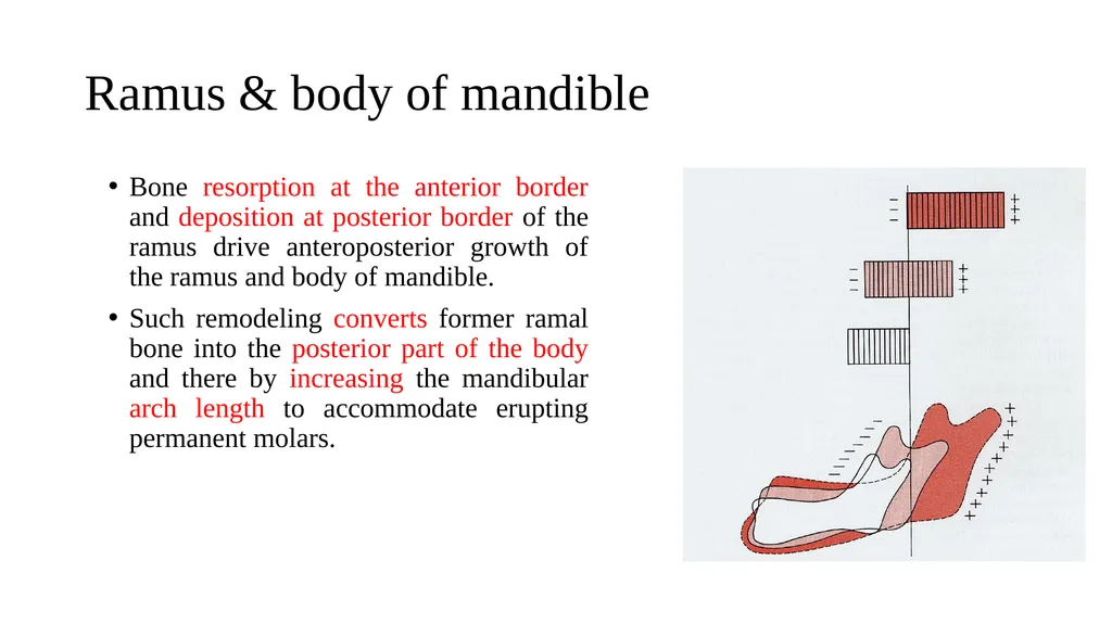 Growth and Development Post-natal Isra Dilshad - slide 37 of 46