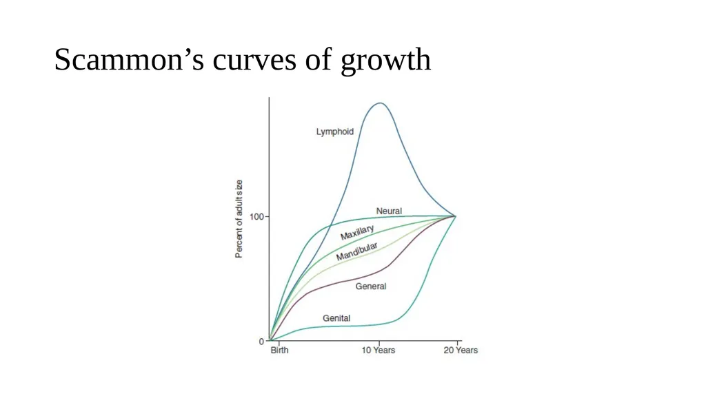 Growth and Development Post-natal Isra Dilshad - slide 6 of 46