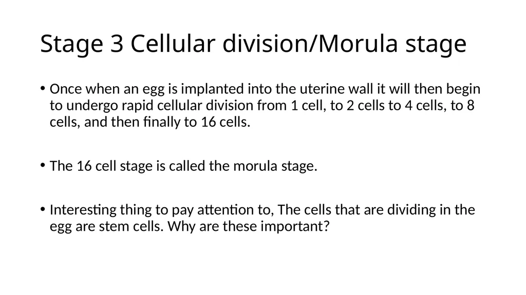 Embryology Anatomy & Physiology What is - slide 8 of 19