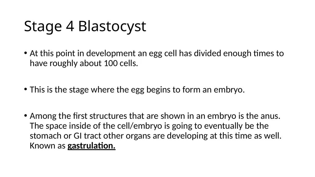 Embryology Anatomy & Physiology What is - slide 10 of 19