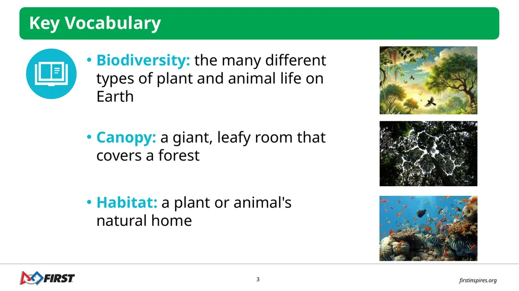 SESSION 1 Canopy Connections I can work with my - slide 3 of 14