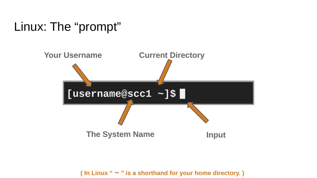 Introduction to Linux Augustine Abaris Research - slide 24 of 67