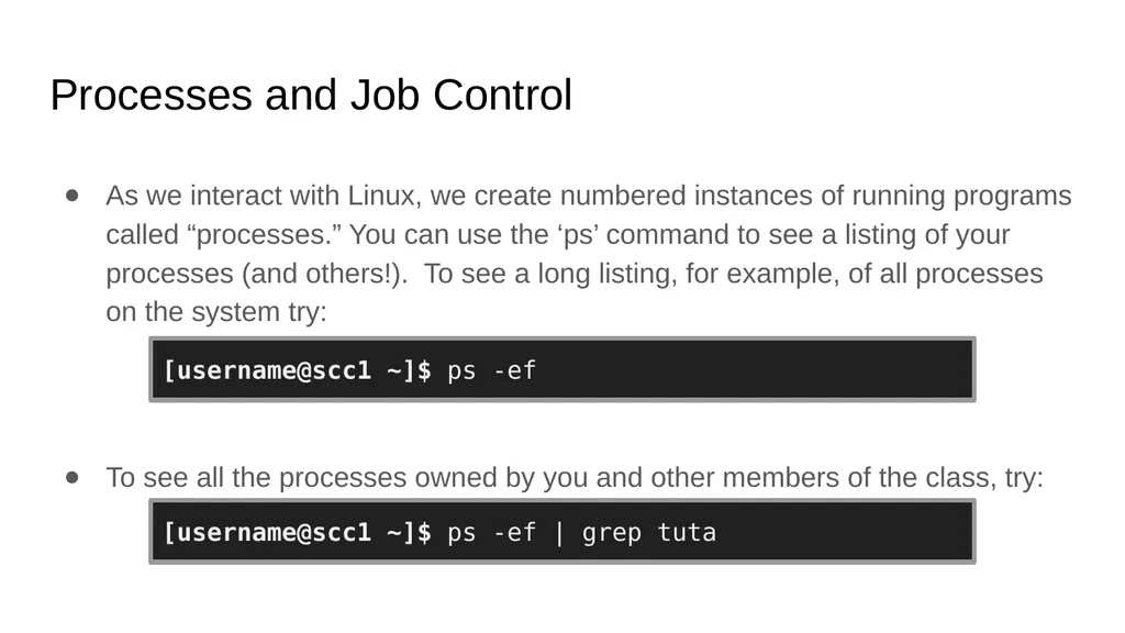 Introduction to Linux Augustine Abaris Research - slide 51 of 67