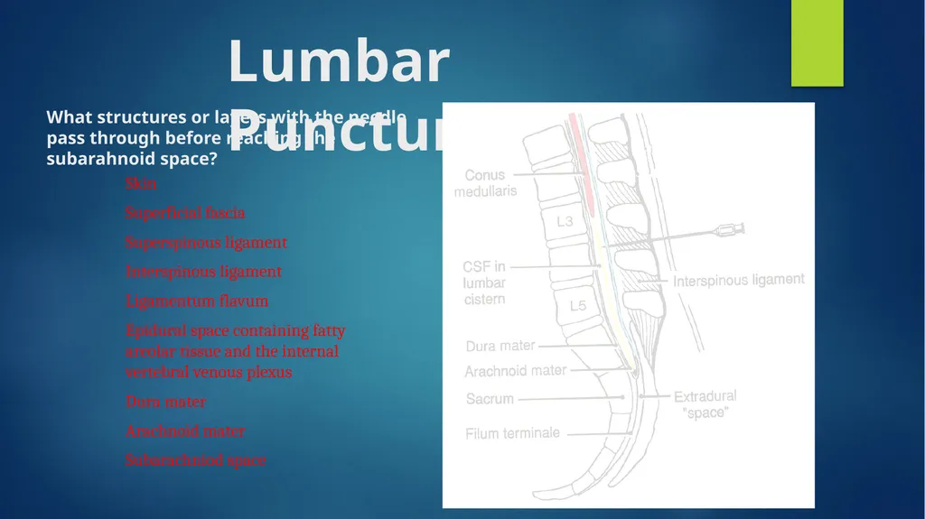 CSI 201 Skills Lab 2 Lumbar Puncture Daryl P. - slide 6 of 13