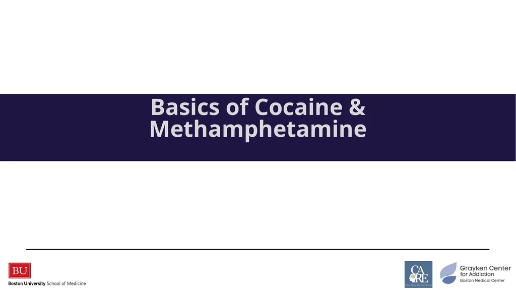 Stimulants: Cocaine & Methamphetamine CRIT/FIT/CFS - slide 4 of 39