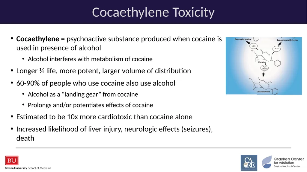 Stimulants: Cocaine & Methamphetamine CRIT/FIT/CFS - slide 19 of 39