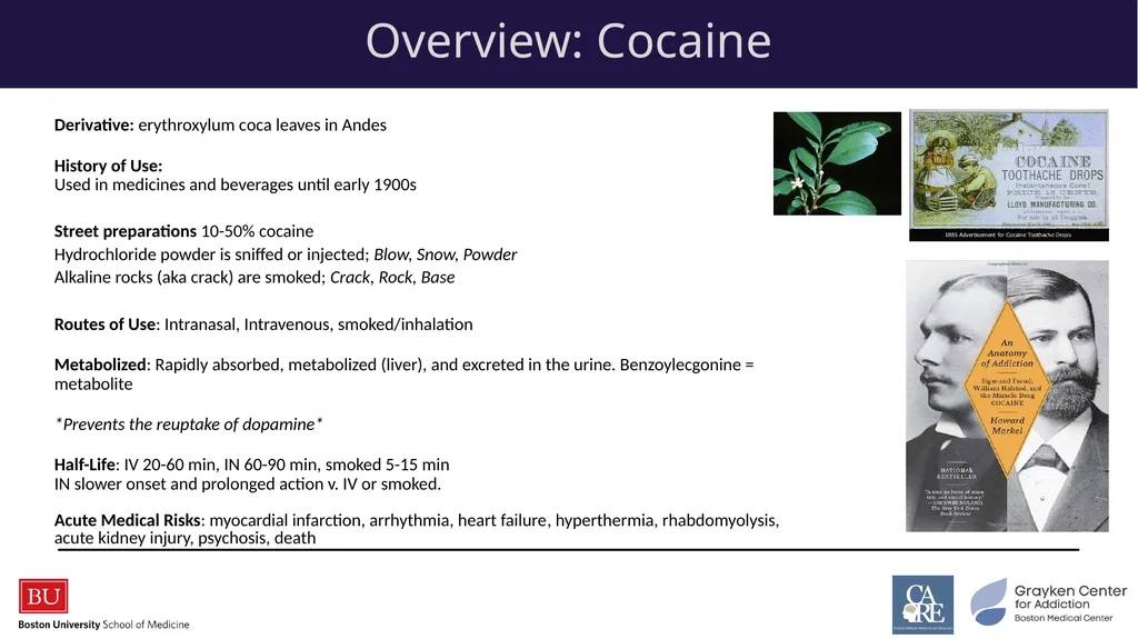Stimulants: Cocaine & Methamphetamine CRIT/FIT/CFS - slide 5 of 39