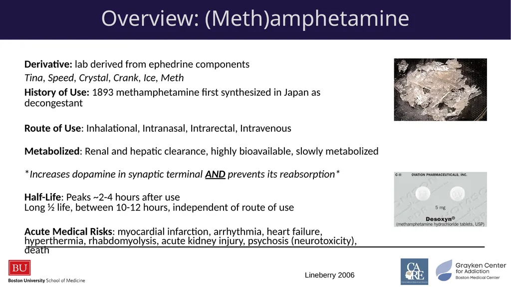 Stimulants: Cocaine & Methamphetamine CRIT/FIT/CFS - slide 6 of 39