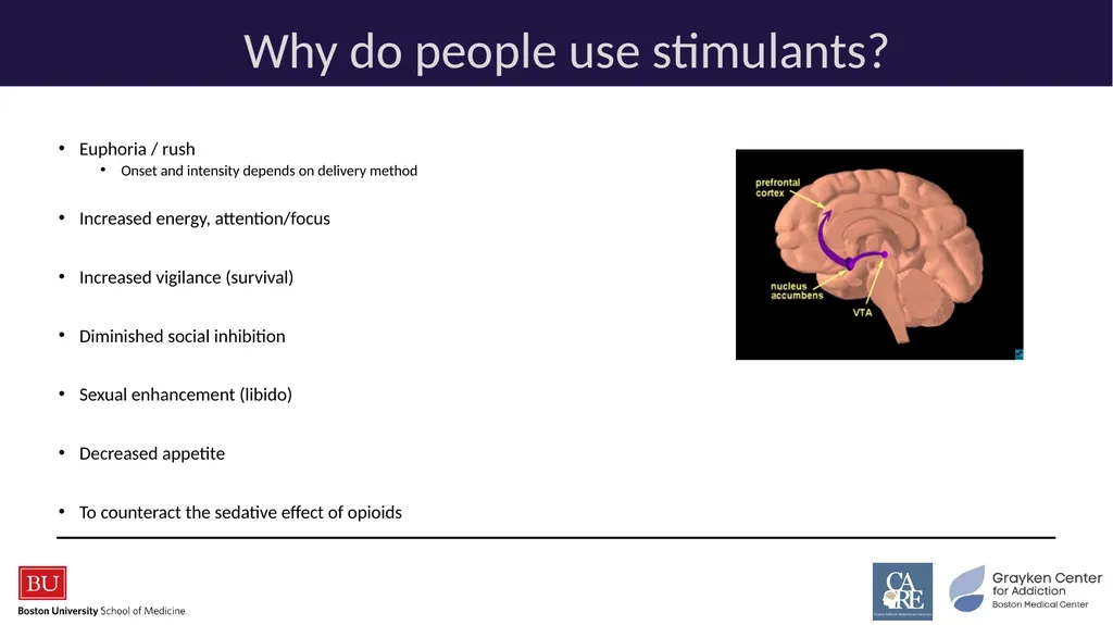 Stimulants: Cocaine & Methamphetamine CRIT/FIT/CFS - slide 13 of 39