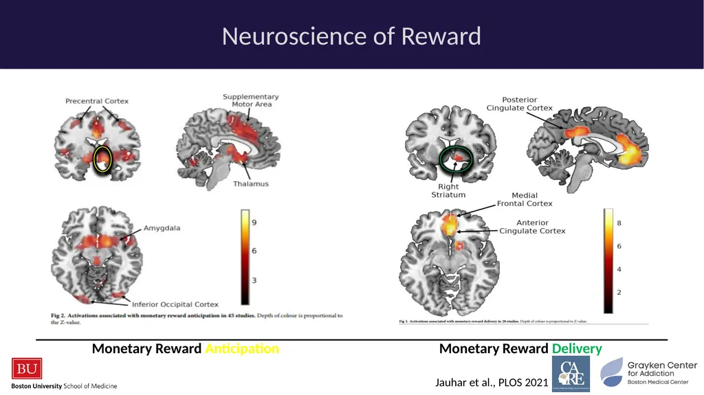 Stimulants: Cocaine & Methamphetamine CRIT/FIT/CFS - slide 28 of 39