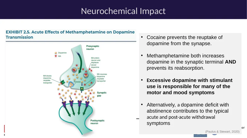 Stimulants: Cocaine & Methamphetamine CRIT/FIT/CFS - slide 14 of 39
