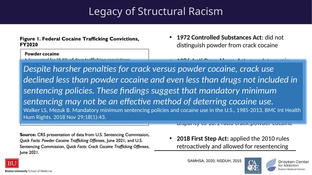 Stimulants: Cocaine & Methamphetamine CRIT/FIT/CFS - slide 11 of 39