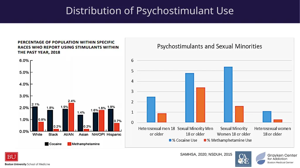 Stimulants: Cocaine & Methamphetamine CRIT/FIT/CFS - slide 9 of 39