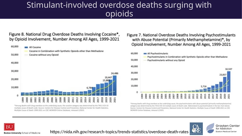 Stimulants: Cocaine & Methamphetamine CRIT/FIT/CFS - slide 8 of 39