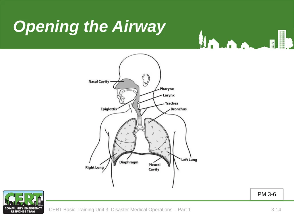 Unit 3: Disaster Medical Operations - Part 1 CERT - slide 15 of 51
