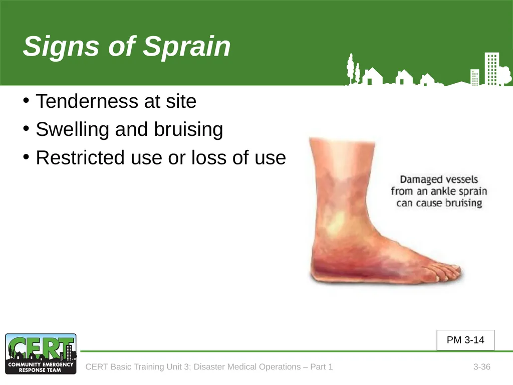 Unit 3: Disaster Medical Operations - Part 1 CERT - slide 37 of 51