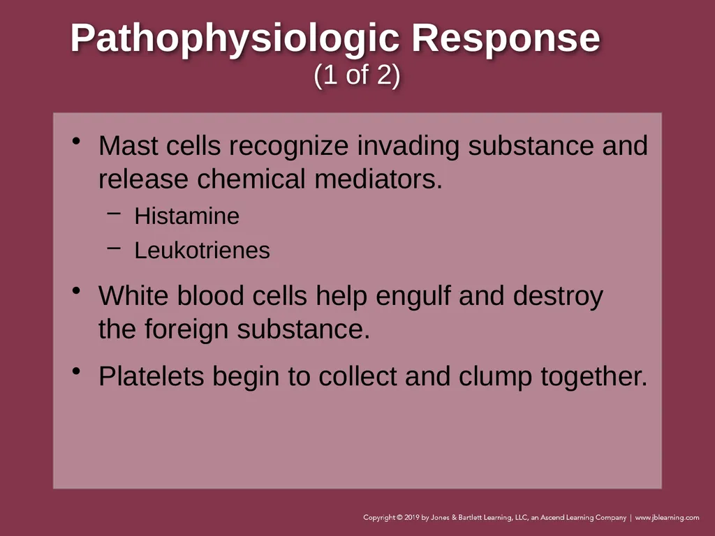Focused Lecture Chapter 22 Immunologic Emergencies - slide 11 of 31