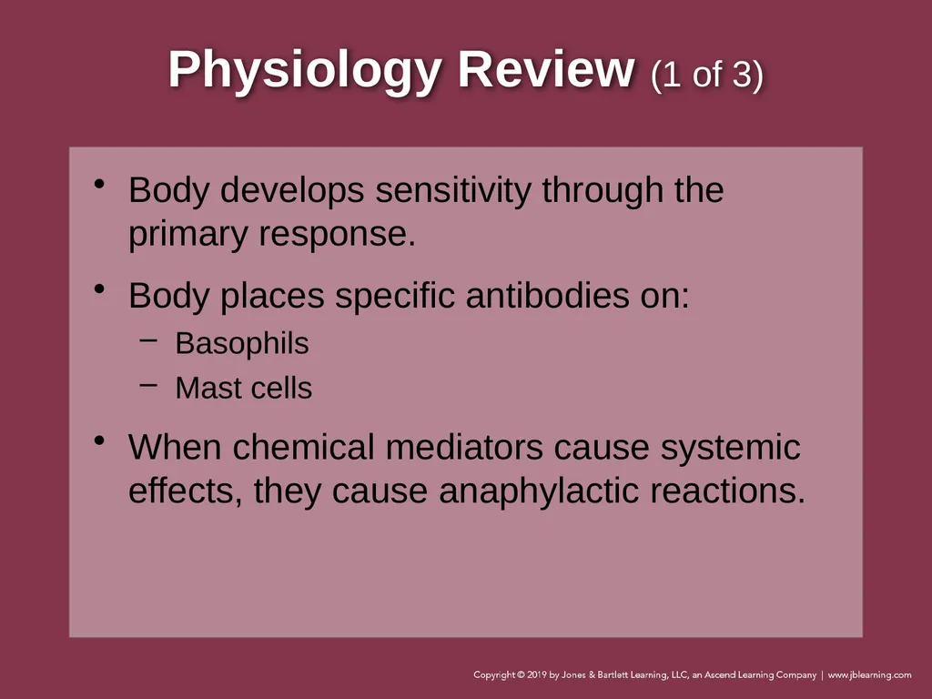 Focused Lecture Chapter 22 Immunologic Emergencies - slide 6 of 31