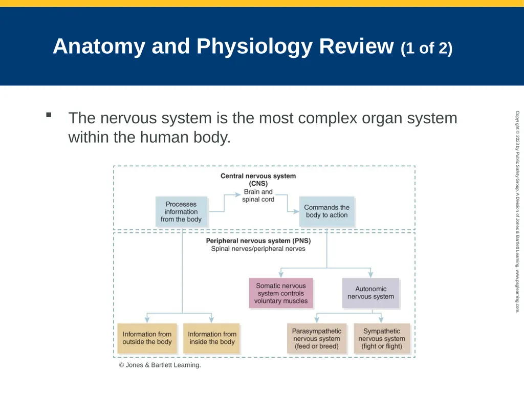 Neurologic Emergencies CHAPTER 19: Focused Lecture - slide 6 of 59