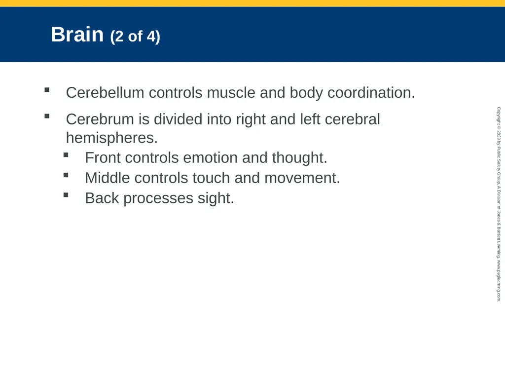 Neurologic Emergencies CHAPTER 19: Focused Lecture - slide 9 of 59