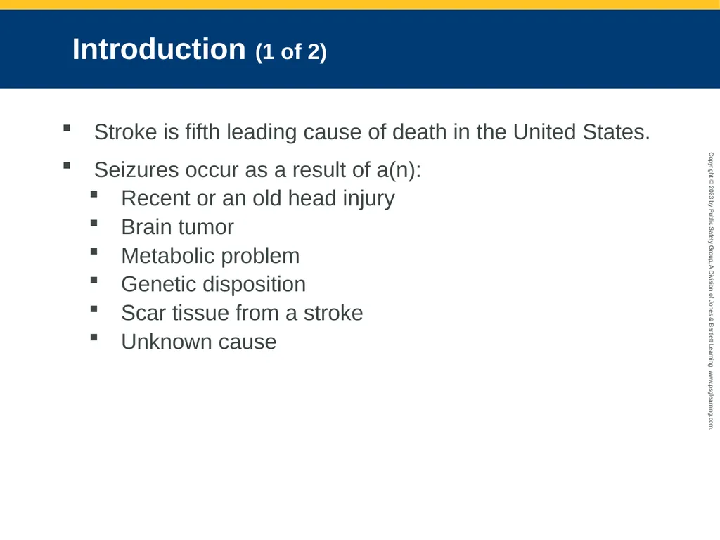 Neurologic Emergencies CHAPTER 19: Focused Lecture - slide 4 of 59
