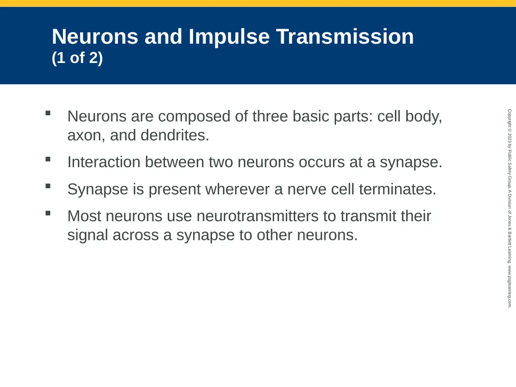 Neurologic Emergencies CHAPTER 19: Focused Lecture - slide 12 of 59