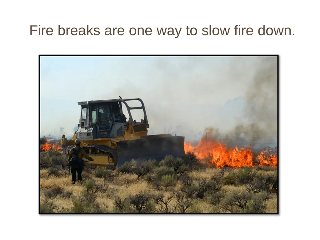 Fire! and the Sagebrush Ecosystem Fire can move - slide 4 of 12