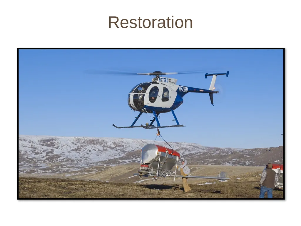 Fire! and the Sagebrush Ecosystem Fire can move - slide 8 of 12