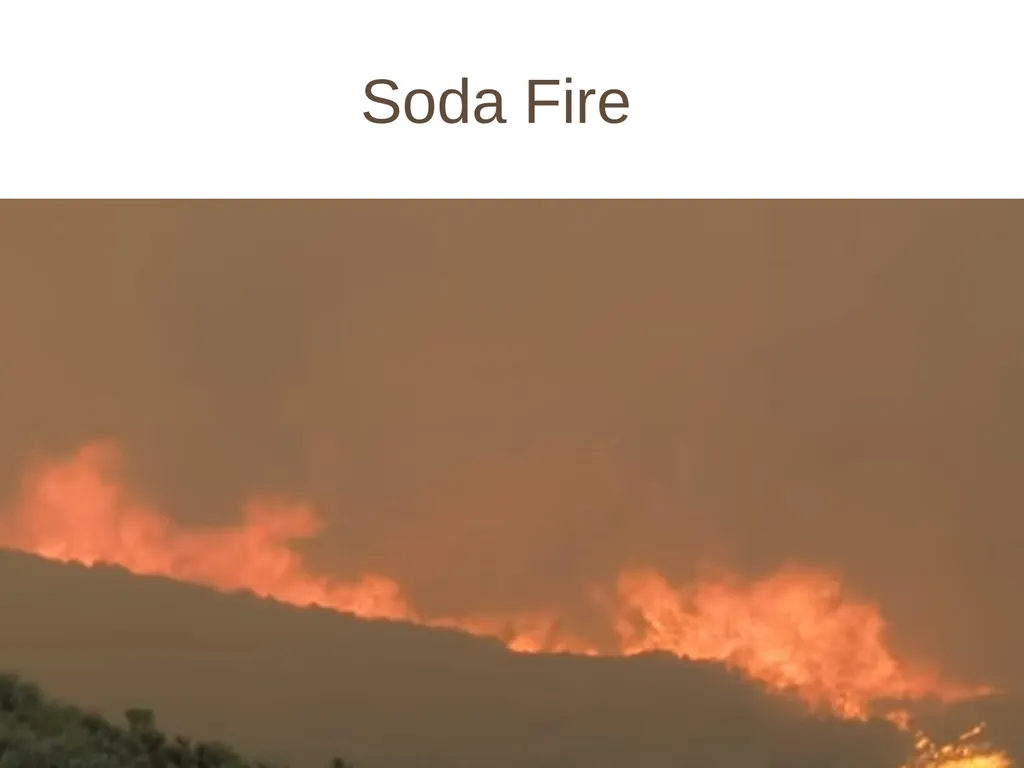 Fire! and the Sagebrush Ecosystem Fire can move - slide 3 of 12