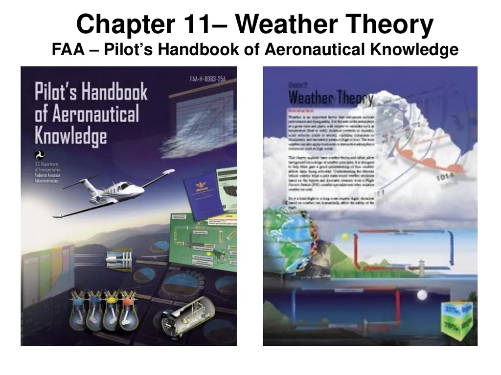 Utilizing your notes and past knowledge answer the - slide 18 of 30