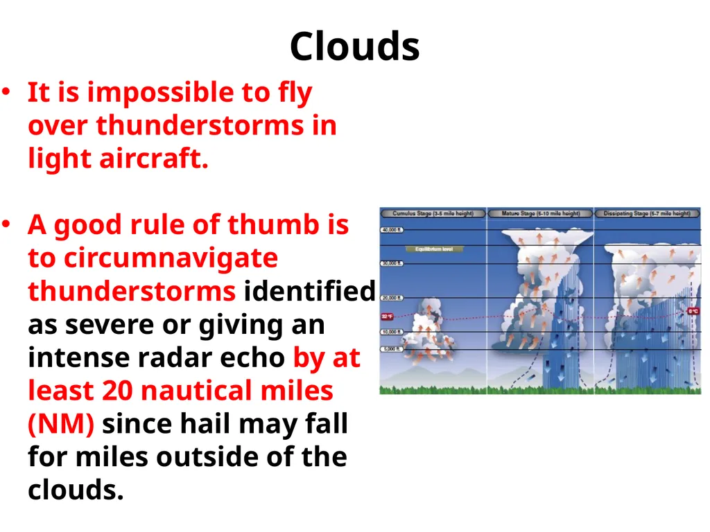 Utilizing your notes and past knowledge answer the - slide 10 of 30
