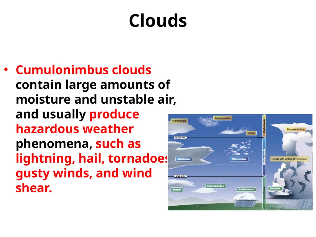 Utilizing your notes and past knowledge answer the - slide 8 of 30