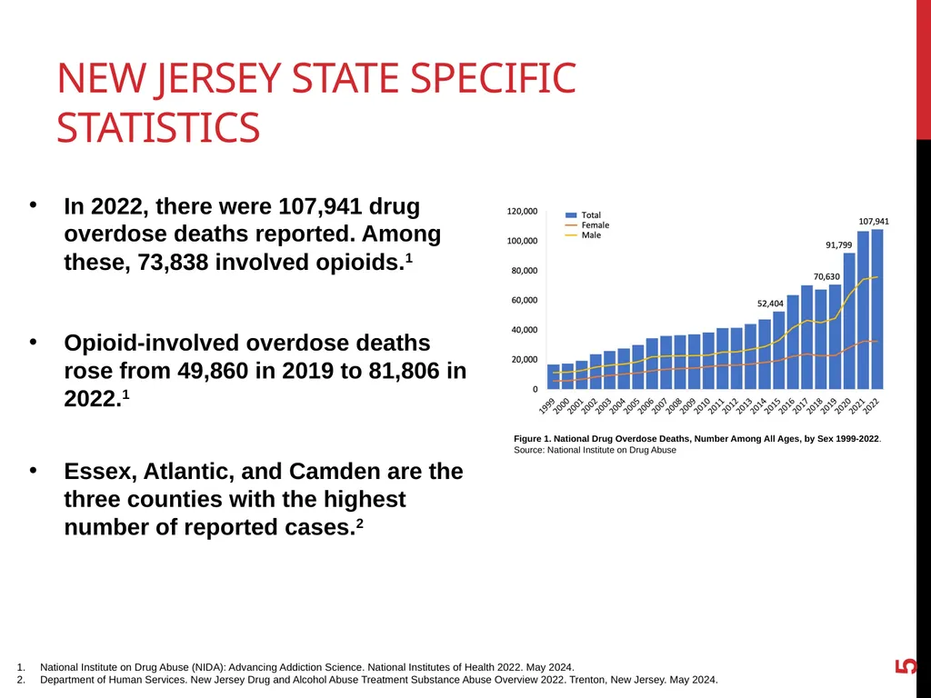Addressing the Opioid Epidemic Presented by: [Name - slide 5 of 20