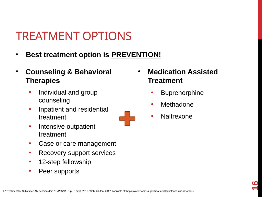 Addressing the Opioid Epidemic Presented by: [Name - slide 16 of 20