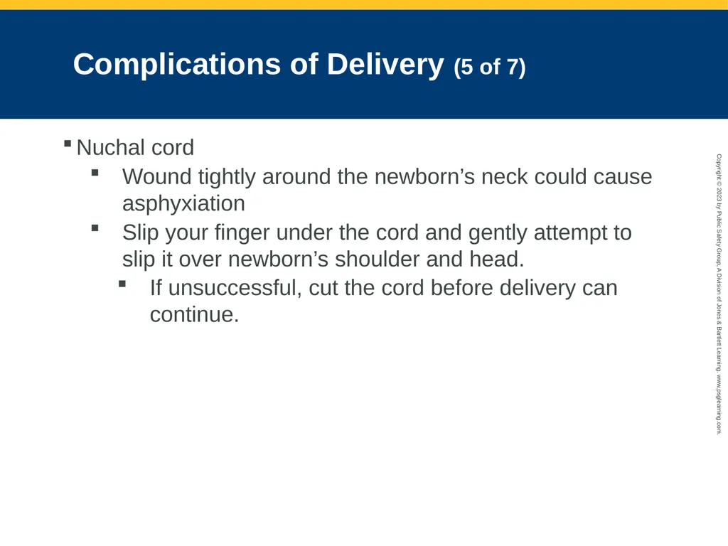 Obstetrics and Neonatal Care CHAPTER 35: Focused - slide 97 of 126