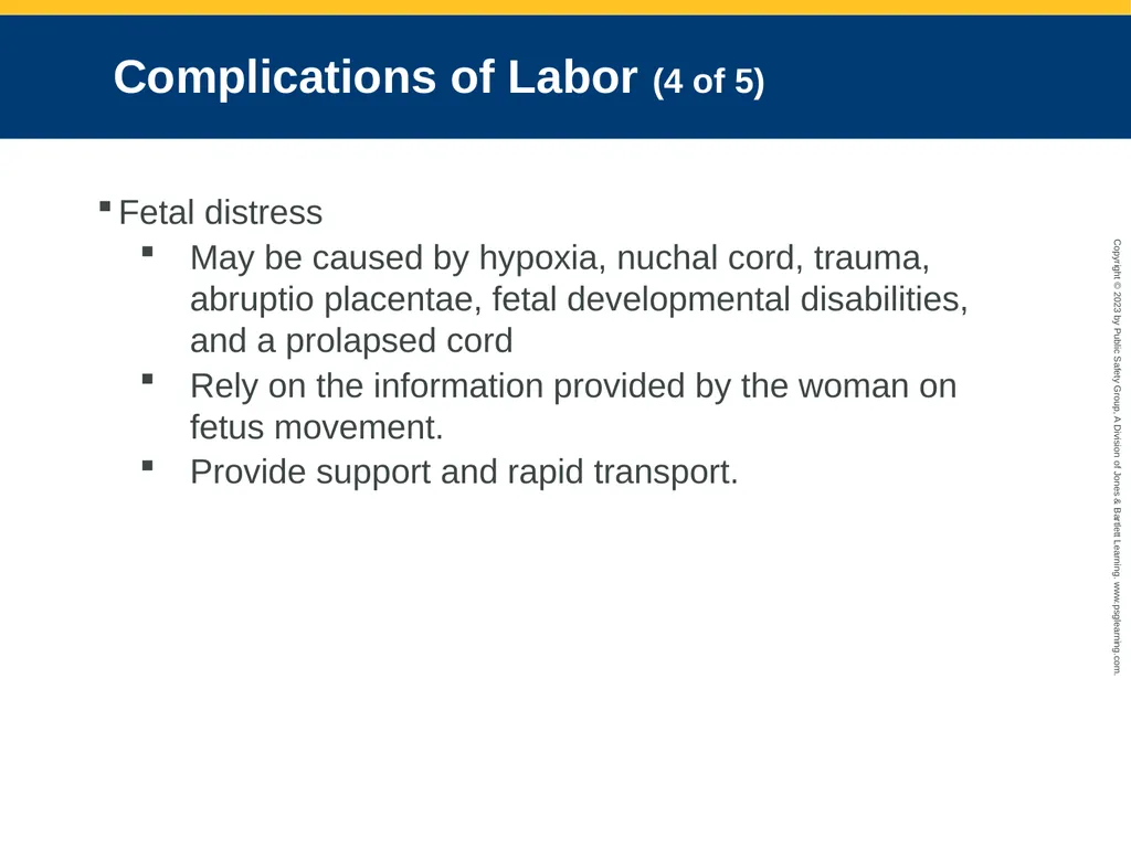 Obstetrics and Neonatal Care CHAPTER 35: Focused - slide 85 of 126