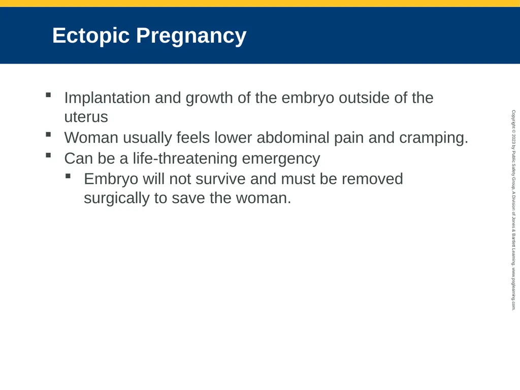 Obstetrics and Neonatal Care CHAPTER 35: Focused - slide 26 of 126