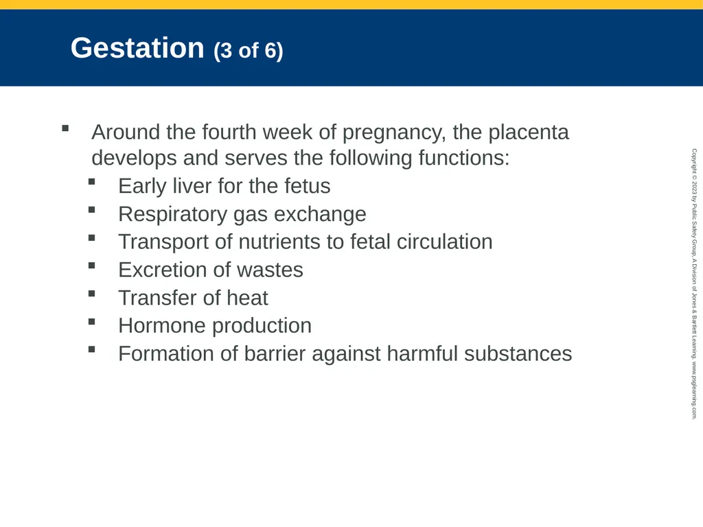 Obstetrics and Neonatal Care CHAPTER 35: Focused - slide 15 of 126
